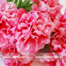 искусственные цветы хризантемы цвета розовый с белым 14
