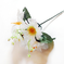 искусственные цветы маргаритка-колокольчик цвета белый 6