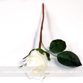 искусственные цветы роза цвета белый 6