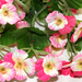 искусственные цветы анютины глазки цвета розовый с белым 14