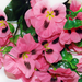 искусственные цветы анютины глазки цвета розовый 5