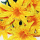 искусственные цветы астры с папоротником цвета желтый 1