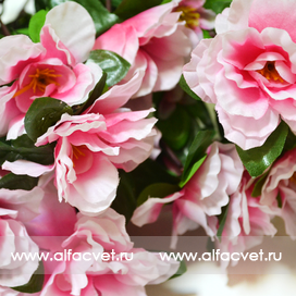 искусственные цветы азалия цвета белый с розовым 19
