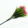 искусственные цветы букет ромашек с добавкой пластика цвета темно-розовый 10