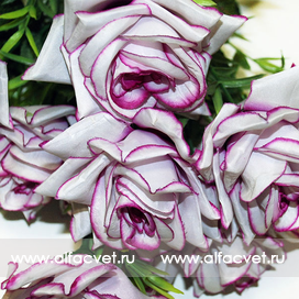 искусственные цветы букет роз цвета малиновый с белым 37