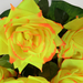 искусственные цветы букет роз цвета желтый 1