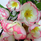 искусственные цветы букет сакуры цвета белый с розовым 19