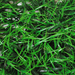 искусственные цветы газон цвета зеленый 59
