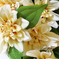искусственные цветы букет георгин цвета белый 6