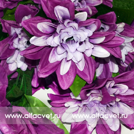 искусственные цветы букет георгин цвета фиолетовый 7