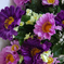 искусственные цветы герберы цвета фиолетовый 7