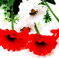 искусственные цветы букет гербер цвета красный с белым 21