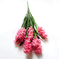 искусственные цветы букет гиацинт цвета розовый 5
