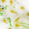 искусственные цветы букет гипсофил цвета белый 6