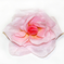искусственные цветы головка роз диаметр 10 цвета розовый 5