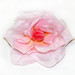 искусственные цветы головка роз диаметр 10 цвета розовый 5