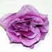 искусственные цветы головка роз диаметр 10 цвета фиолетовый 7