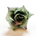 искусственные цветы головка роз диаметр 5 цвета зеленый 59