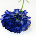 искусственные цветы гвоздикa цвета синий 12