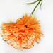 искусственные цветы гвоздикa цвета оранжевый 2