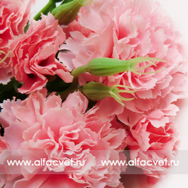 искусственные цветы букет гвоздик цвета розовый 5