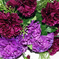 искусственные цветы гвоздики цвета фиолетовый с сиреневым 50