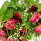искусственные цветы гвоздики с добавкой кашка цвета малиновый 11
