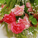 искусственные цветы гвоздики с добавкой кашка цвета розовый 5