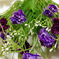 искусственные цветы гвоздики с добавкой кашка цвета фиолетовый с сиреневым 50