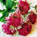 искусственные цветы букет гвоздик с добавкой кашка цвета розовый с белым 14