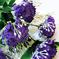 искусственные цветы букет гвоздик с добавкой кашка цвета сиреневый 8