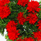 искусственные цветы гвоздики цвета красный 4