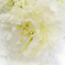 искусственные цветы букет гвоздик цвета белый 6