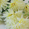 искусственные цветы хризантемы цвета белый с желтым 13