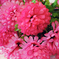 искусственные цветы букет хризантем цвета розовый 5