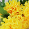 искусственные цветы хризантемы цвета желтый 1