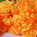 искусственные цветы хризантемы цвета оранжевый 2