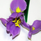 искусственные цветы ирис цвета фиолетовый 7