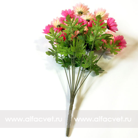 искусственные цветы касмея цвета кремовый с розовым 56