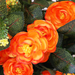искусственные цветы камелия цвета оранжевый 2