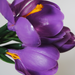 искусственные цветы крокус цвета фиолетовый 7