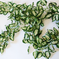 искусственные цветы лианы цепь цвета зеленый с белым 34