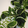 искусственные цветы лианы цепь цвета темно-зеленый с белым 35