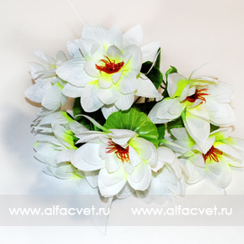 искусственные цветы лотос цвета белый 6