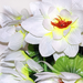 искусственные цветы лотос цвета белый 6