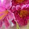 искусственные цветы маргаритка-колокольчик цвета малиновый 11