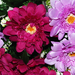 искусственные цветы маргаритки цвета фиолетовый с сиреневым 50