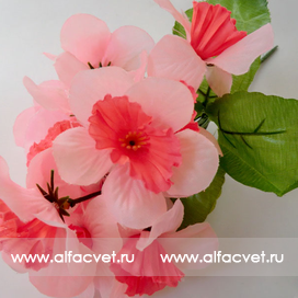 искусственные цветы нарциссы цвета розовый с белым 14