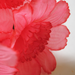 искусственные цветы нарциссы цвета розовый 5
