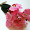 искусственные цветы орхидеи цвета розовый 5